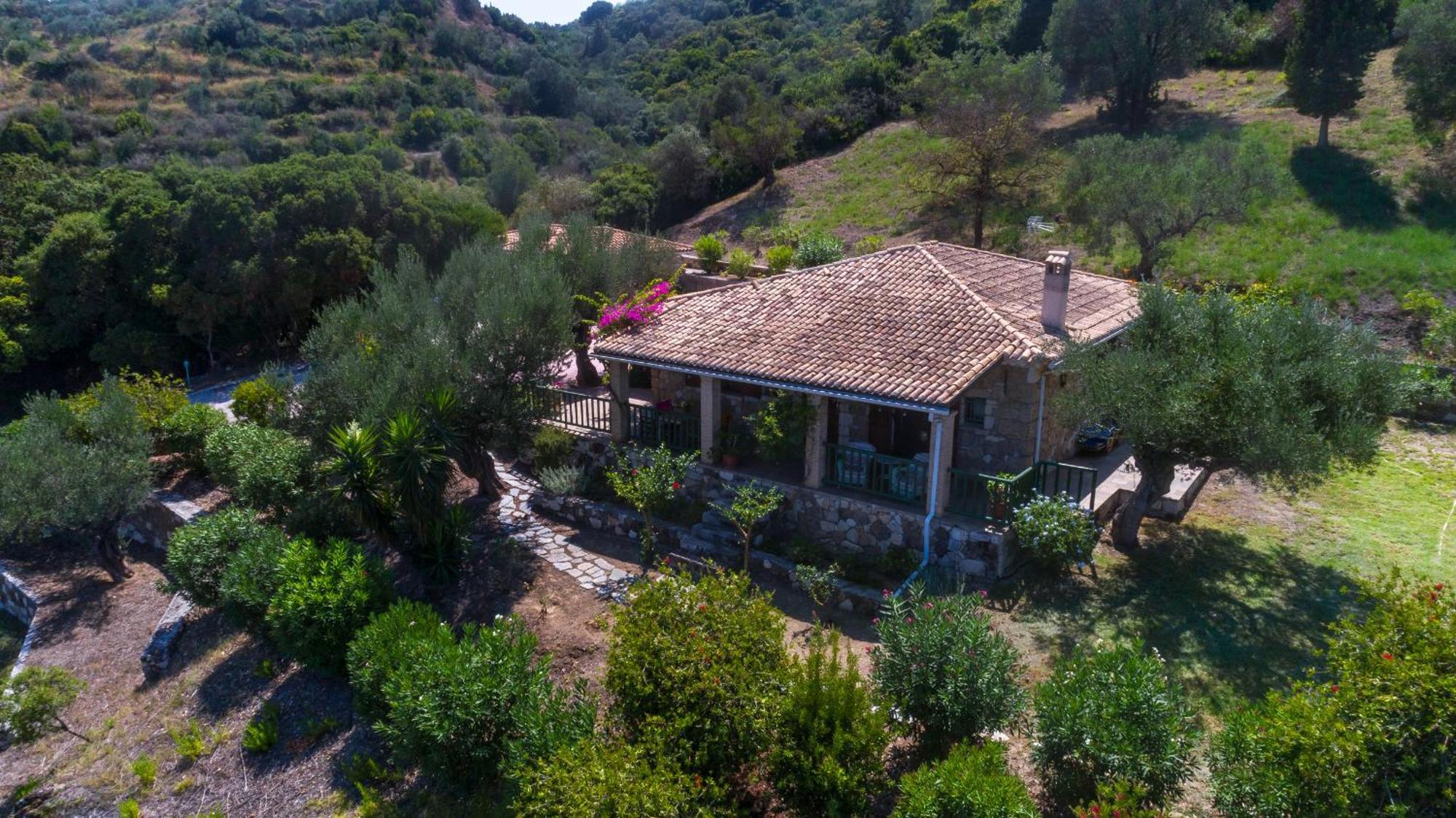 Collina