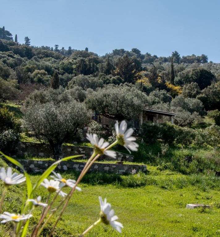 Collina