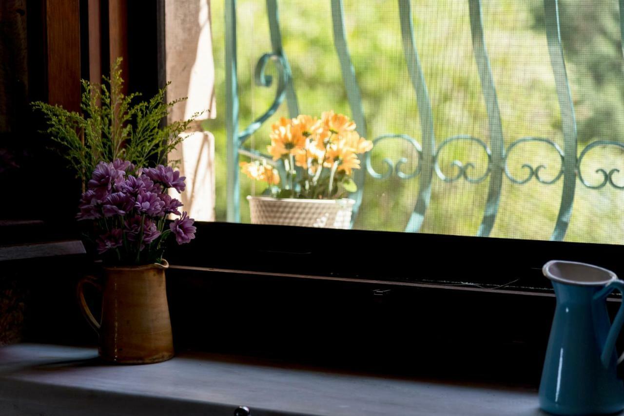Appartement Collina